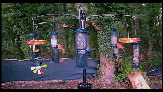 LIVE  Labor Day Bird watching Bird Baths amp Wind Chimes [upl. by Bevis133]