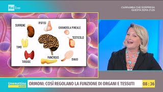 Ormoni così regolano la funzione di organi e tessuti  Unomattina estate  27072021 [upl. by Nylehtak]