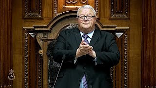 Gerry Brownlee Lectures Troublemaking Māori MPs [upl. by Holds]