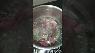 HealthyHibiscus tea hibiscus keep supporting as and subscribe [upl. by Drusus]