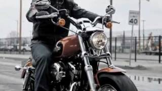 2011 New HarleyDavidson Sportster XL 1200 Custom [upl. by Lisabet]