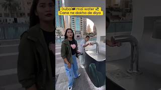 Dubai Jane se pahle sikhlo 😯  advikfacts shorts viral Dubai [upl. by Felecia438]