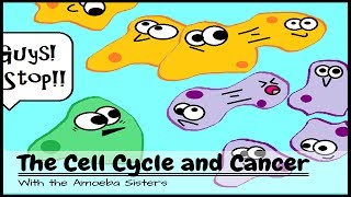 OLD VIDEO The Cell Cycle and Cancer [upl. by Ailin]