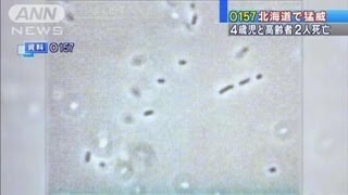 「O157」で4歳女児ら3人死亡 100人が症状訴え（120814 [upl. by Esirahc928]