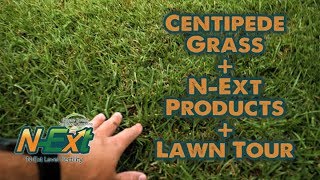 NExt DIY Lawn Tour 2019  Florida Centipede Grass [upl. by Nireves54]