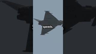 Air Junkies Fighter Jets in Action [upl. by Anabal]