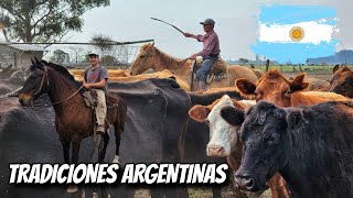 DOS días CAPANDO los TERNEROS y ARREANDO las VACAS a CABALLO 🇦🇷 CASTRANDOYERRA [upl. by Eugenle150]