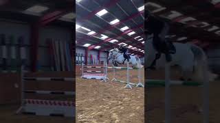 Not me♥️♥️ horse chevalpassion equestrian chevaux edit equestrain [upl. by Harlie424]