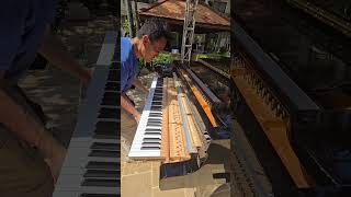 What is inside the grand Piano piano diy fixed [upl. by Nylia]