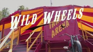 Wild Wheels Thrill Arena [upl. by Ilehs]