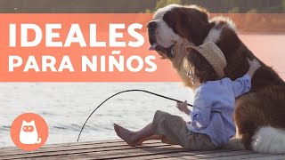 10 RAZAS de PERROS para NIÑOS 🐶👧🏼 ¡Descúbrelas [upl. by Anastas]