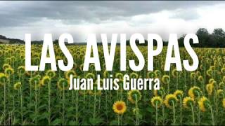 Las Avispas  Juan Luis Guerra Letra [upl. by Heppman846]