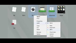 Nimi Places  Desktop Organizing Software Video Tutorial Part 2 [upl. by Palermo998]