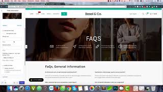 Basel Shopify  Modify FAQs page [upl. by Neeroc]