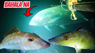 Di kinaya sa laki dala yong talim ng pana 💪😱 idol mata Spearfishing Channel marinduque po ako [upl. by Jeanine]