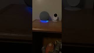 Echo dot 4th generation Echo Flex and Echo 4th Generation are not connected to the internet [upl. by Aninaj358]