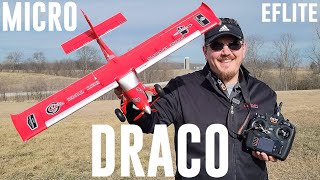 Eflite  Micro DRACO  800mm  Maiden Flight  Unbox Build Radio Setup [upl. by Ringe]