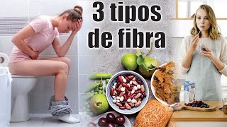 3 TIPOS de FIBRA ¿Cuáles son 🥦🍎🍇🥗 SOLUBLE INSOLUBLE y PREBIÓTICA FOS ⭐ Lic SANDRA SOLOGUREN BRYCE [upl. by Anneyehc453]