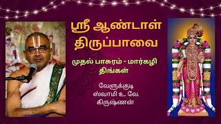 ஸ்ரீ ஆண்டாள் திருப்பாவை உபன்யாசம்  முதல் பாசுரம் மார்கழி திங்கள்  Part 3 Swamy Velukkudi Krishnan [upl. by Airbmac827]