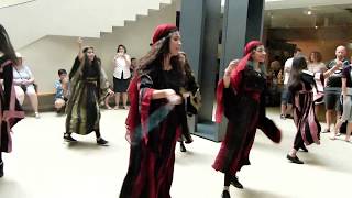 Dabke Performance [upl. by Runck]