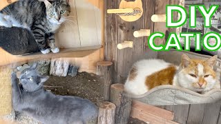 I Built the ULTIMATE Outdoor CATIO for my BARN CATS [upl. by Ygiaf]