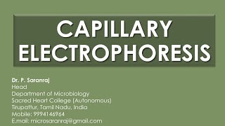 Capillary Electrophoresis CE [upl. by Lindgren]