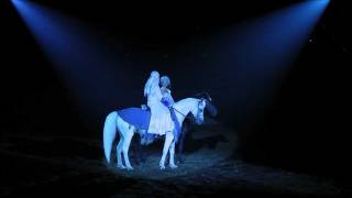 Arabian Nights  Black Stallion HD 1080p [upl. by Bael]