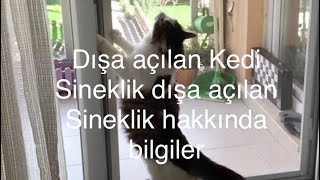 Dışa açılan Sineklikdışa açılan Sineklikle ilgili bilgilerKedi Sineklikped hayvan sineklik [upl. by Dawes]