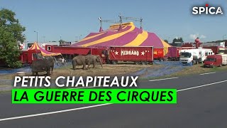 Petits chapiteaux la guerre des cirques [upl. by Nairad]