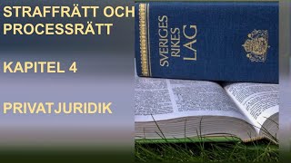 Straffrätt och Processrätt  Genomgång  Privatjuridik 🍀🌸 [upl. by Tobi]