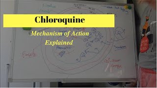 Antimalarial Drug Mechanism of Action  What is Chloroquine [upl. by Nosnorb]