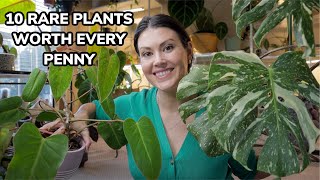 10 Rare Plants WORTH Every Penny  Uncommon Houseplants That You Will Love [upl. by Lukasz]