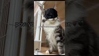 You love batman😼 [upl. by Neona386]