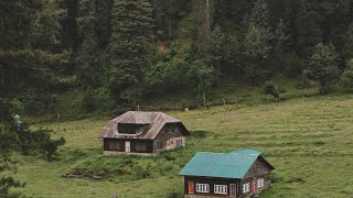 Srinagar Walking Tour Kashmir srinagar kashmir dallake boulevard [upl. by Etterraj]