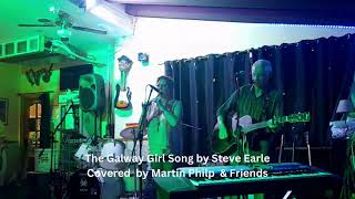 The Galway Girl Song by Steve Earle [upl. by Aerdnaz]