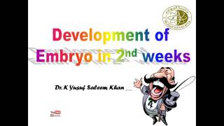 Development during the second week of development  Dr Yusuf [upl. by Okimik]