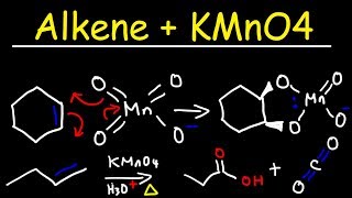 Alkene  KMnO4 Reaction [upl. by Anayra888]