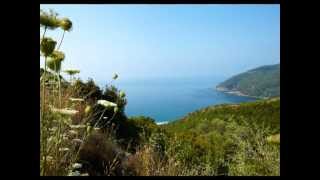 Vacation ideas  Parga Lichnos Beach Hotelwmv [upl. by Kirkwood105]