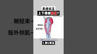 系统纠正上下楼梯膝盖疼上下楼梯膝盖痛膝盖弹响髌骨轨迹力线运动康复 [upl. by Ahcsap863]