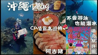 【🇯🇵沖繩Vlog】不會游泳的我去潛水了🤿沖繩CP值最高🍣迴轉壽司水族館門票省錢攻略 道の駅許田 Orion本部度假Spa飯店古民家🐷阿古豬涮涮鍋 okinawa 沖縄 diving [upl. by Kreindler630]