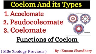 Coelom and its Types  Acoelomate  Psudocoleomate  Coelomate  Functions of Coelom  By Kusum [upl. by Llenol785]