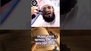 nobopreron mizanurrahmanazhari waz islamicstatus viralvideo foryou wazmahfil islamicvideo [upl. by Efal601]