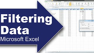 Filter important data using Excel [upl. by Helprin]