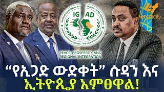 Ethiopia  “የኢጋድ ውድቀት” ሱዳን እና ኢትዮጲያ አምፀዋል [upl. by Dlareme]