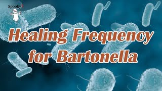 Healing Frequency for Bartonella  Spooky2 Rife Frequencies [upl. by Hterag]