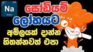 සෝඩියම් ලෝහයට අම්ලයක් දාලා වෙච්ච වින්නැහියක් [upl. by Jerrilyn]