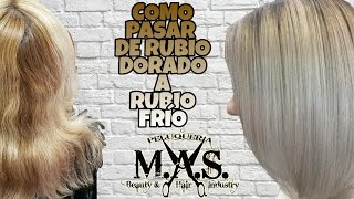 Cómo conseguir un cabello Rubio degradado en color ceniza Tipo Balayage [upl. by Welton555]