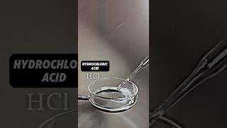 Hydrochloric and more acid experiment experiment chemical chemistry education shorts youtube [upl. by Tiffi]