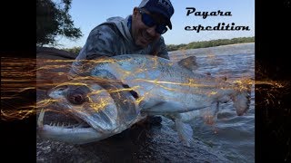 Expedition  Payara fishing  Colombia [upl. by Boccaj]