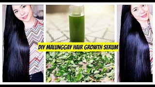 DIY MalunggayMoringa Hair Growth Serum Grow Hair faster Lessen Hair Fall and Get Healthy Scalp [upl. by Airalednac]